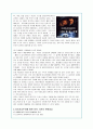 외모지상주의의 원인과 실태 및 문제점 분석을 통한 대안 17페이지