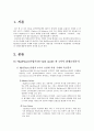 아이리버(레인콤)의 해외진출 2페이지