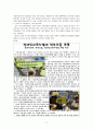 장애인의 교육권에 관한 총체적 보고서(특수교육) 12페이지
