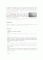 우리나라의 장 12페이지