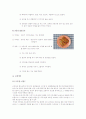 우리나라의 장 18페이지