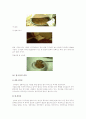 우리나라의 장 28페이지