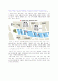 청계천 복원 사업의 문제점과 해결방안 7페이지