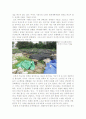 청계천 복원 사업의 문제점과 해결방안 10페이지