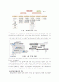 KOTRA(대한무역투자진흥공사) 경영분석(A+레포트) 7페이지