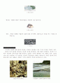 퇴적물과 퇴적암 4페이지