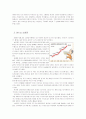 외국자본의 폐해-소버린과 sk사태 분석 2페이지