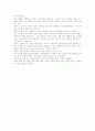 인생을 훔친 여자 (화차) 2페이지