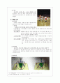기초농구 및 과학적 원리 7페이지