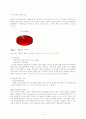 이지젯 항공사의 고품격, 저가격 마케팅 성공 전략 분석 7페이지