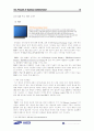 삼성 SDI 기업경영 시스템 분석 15페이지