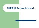다배형성 1페이지