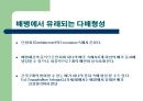 다배형성 8페이지