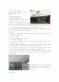아동복지의 현황과 실태 4페이지