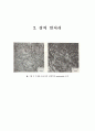열처리 실험 보고서 6페이지