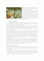 미샤 마케팅 사례 분석 8페이지