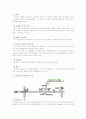 사회행동모델의 정의와 대중조직화의 사례 및 서울외국인노동자센터의 역할 4페이지