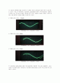 델타 변조 Delta Modulation 3페이지