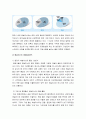 애널리스트 직업분석 보고서 14페이지