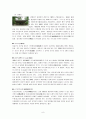문화유적 답사기 (고궁을 다녀와서) 10페이지