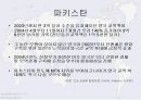 인도와 주변국간의 경제관계 10페이지