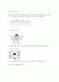 유방암 문헌고찰 및 수술 후 간호(사진有) 10페이지