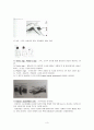 성인간호학 근골격계 사정 및 간호(사진有) 3페이지