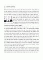도요타의 성공전략 6페이지