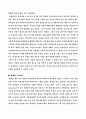 도요타의 성공전략 18페이지
