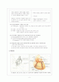 Case Study:심근경색증 2페이지