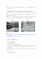 [교육학]국문과 레슨플랜 - 중학국어 1-2 4단원 시의세계 23페이지