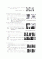 혈관조영술 (Angiography) 2페이지