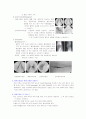 혈관조영술 (Angiography) 3페이지