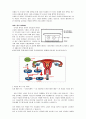 인공수정 (insemination) 4페이지