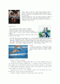 성인병 연구 7페이지