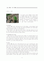 텃밭채소가꾸기 14페이지