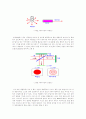 Laser의 정의 및 원리 2페이지
