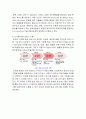 디지털TV방송기술 동향 및 전망 10페이지