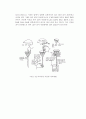 아세트아닐리드 재결정 4페이지
