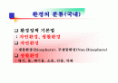 환경의 구성요소 및 특성 2페이지