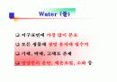 환경의 구성요소 및 특성 7페이지