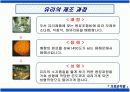 재료로 보는 세상, 유리 9페이지