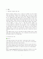 아이리버마케팅, 성과, 문제점 및 향후전략 2페이지