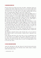 한국의 자동차 산업 3페이지