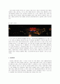 [중국의 이해] 중국의 현대문화 16페이지