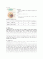세포(대장균, 효모, 식물세포, 동물세포, 바이러스)의 관찰 2페이지