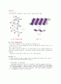 단백질의 전기영동(SDS-PAGE)에 의한 분리 및 분자량 측정. 2페이지