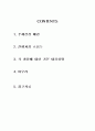 주제 : 영상처리를 이용한 마우스 구현 2페이지
