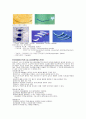 수술실체크리스트 15페이지