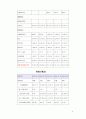 중국 기업의 재무분석 14페이지